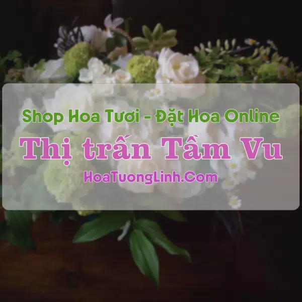 Shop Hoa Tươi Thị Trấn Tầm Vu - Long An