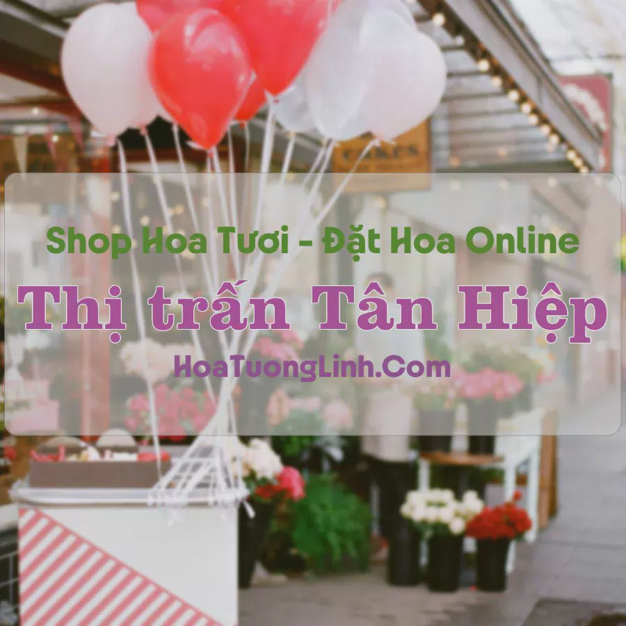 Shop Hoa Tươi Thị trấn Tân Hiệp - Tiền Giang