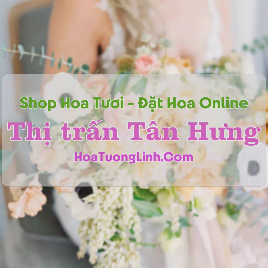 Shop Hoa Tươi Thị Trấn Tân Hưng - Long An