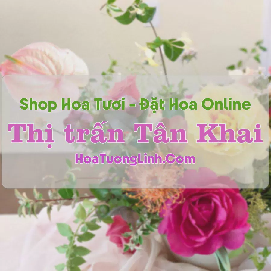 Shop Hoa Tươi Thị trấn Tân Khai - Bình Phước