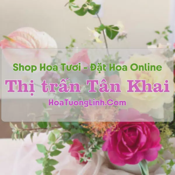 Shop Hoa Tươi Thị trấn Tân Khai - Bình Phước