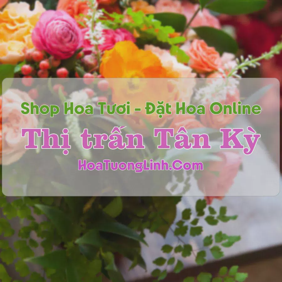 Shop Hoa Tươi Thị Trấn Tân Kỳ - Nghệ An