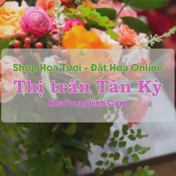 Shop Hoa Tươi Thị Trấn Tân Kỳ - Nghệ An