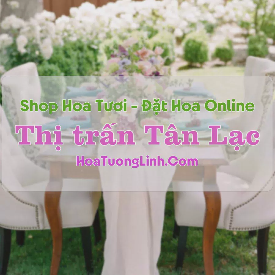 Shop Hoa Tươi Thị Trấn Tân Lạc - Nghệ An