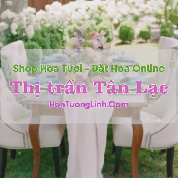Shop Hoa Tươi Thị Trấn Tân Lạc - Nghệ An