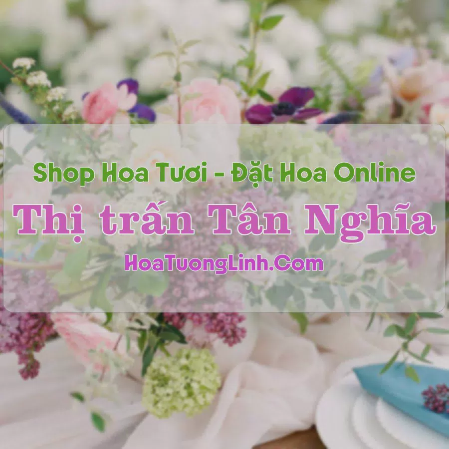 Shop Hoa Tươi Thị Trấn Tân Nghĩa - Bình Thuận