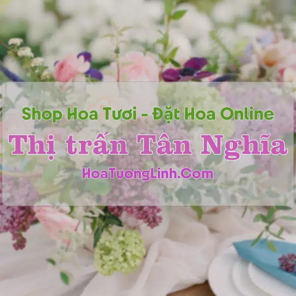 Shop Hoa Tươi Thị Trấn Tân Nghĩa - Bình Thuận