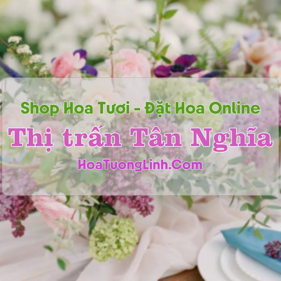 Shop Hoa Tươi Thị Trấn Tân Nghĩa – Bình Thuận