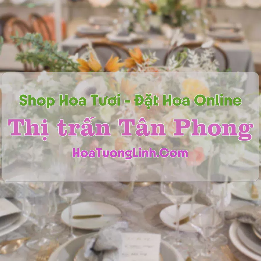 Shop Hoa Tươi Thị Trấn Tân Phong - Thanh Hóa