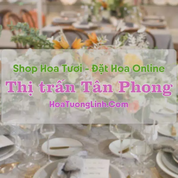 Shop Hoa Tươi Thị Trấn Tân Phong - Thanh Hóa