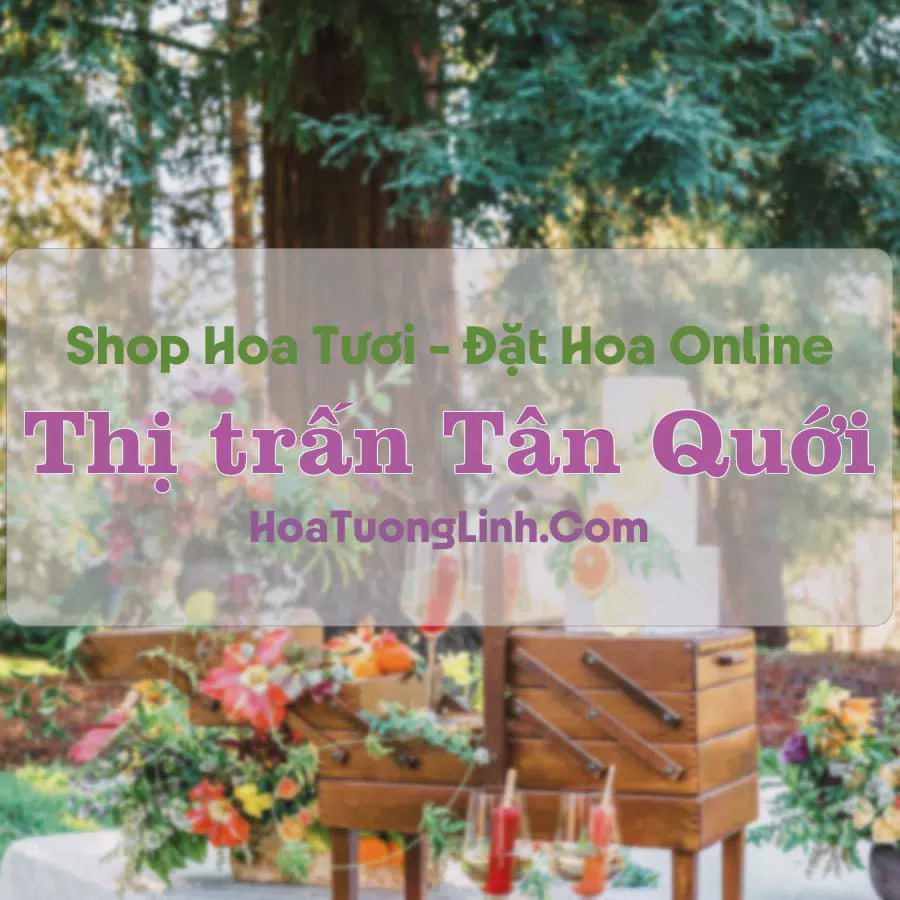 Shop Hoa Tươi Thị Trấn Tân Quới - Vĩnh Long