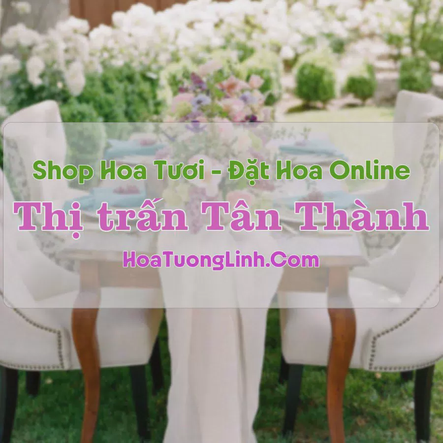 Shop Hoa Tươi Thị Trấn Tân Thành - Bình Dương
