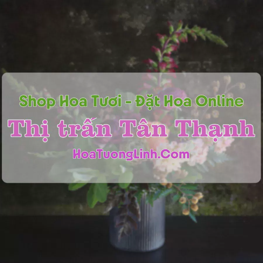 Shop Hoa Tươi Thị trấn Tân Thạnh - Long An