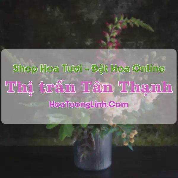 Shop Hoa Tươi Thị trấn Tân Thạnh - Long An
