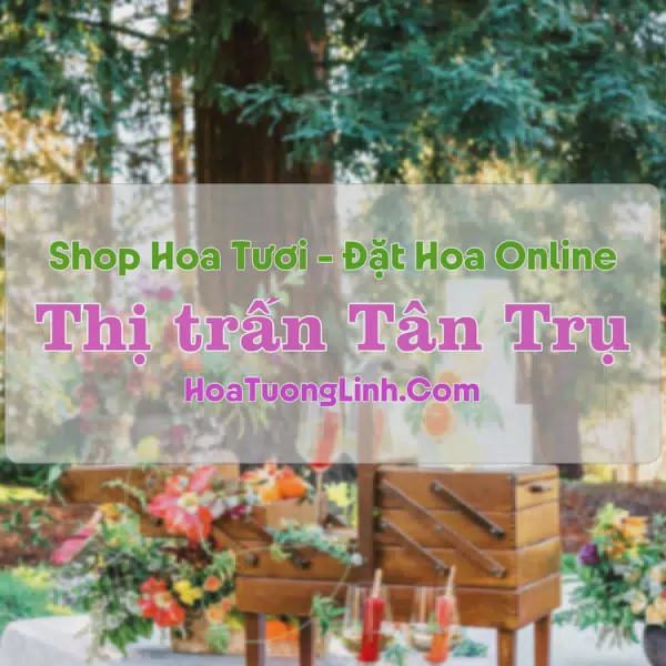 Shop Hoa Tươi Thị trấn Tân Trụ - Long An