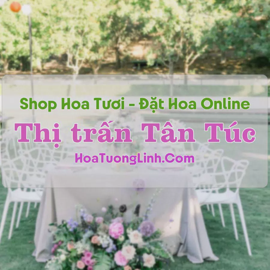 Shop Hoa Tươi Thị Trấn Tân Túc - TP.HCM