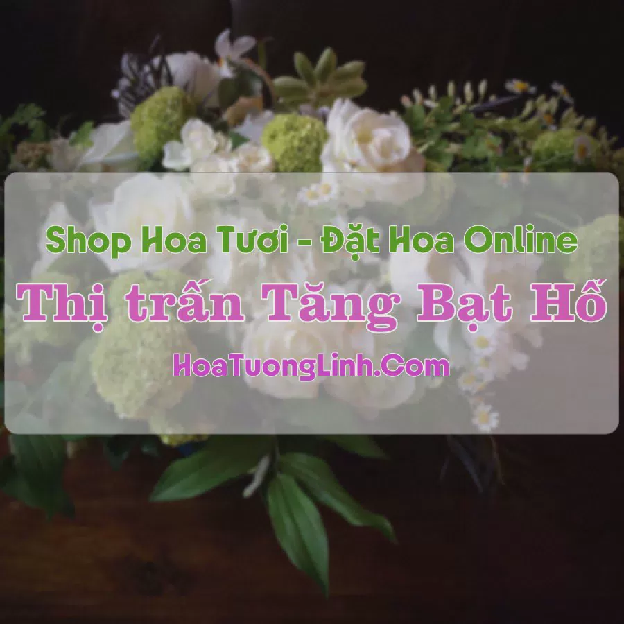 Shop Hoa Tươi Thị trấn Tăng Bạt Hổ - Bình Định