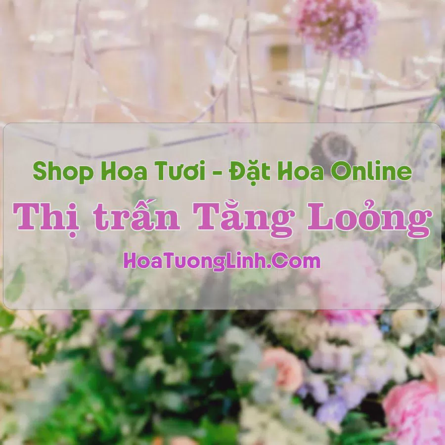 Shop Hoa Tươi Thị Trấn Tằng Loỏng - Bảo Thắng, Lào Cai