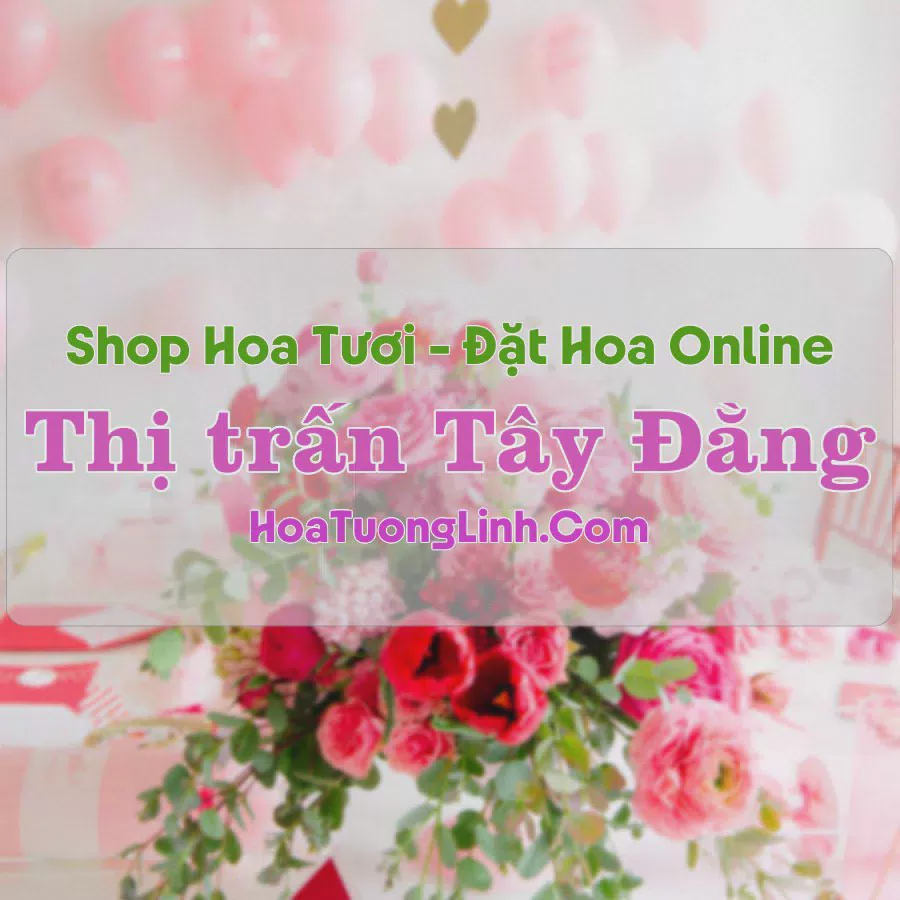 Shop Hoa Tươi Thị Trấn Tây Đằng - Hà Nội
