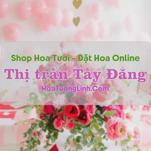 Shop Hoa Tươi Thị Trấn Tây Đằng - Hà Nội