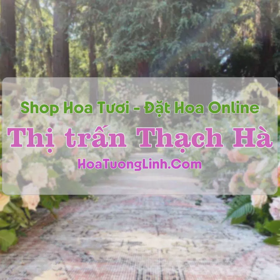 Shop Hoa Tươi Thị Trấn Thạch Hà - Hà Tĩnh