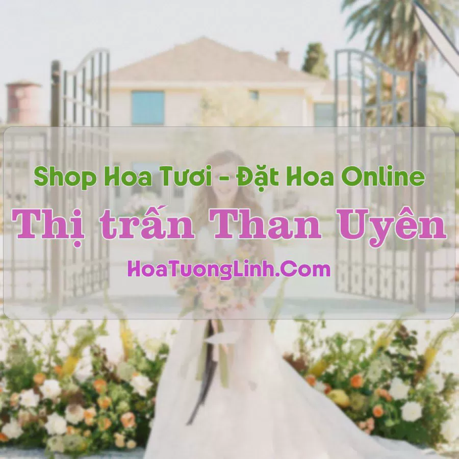 Shop Hoa Tươi Thị trấn Than Uyên - Lai Châu