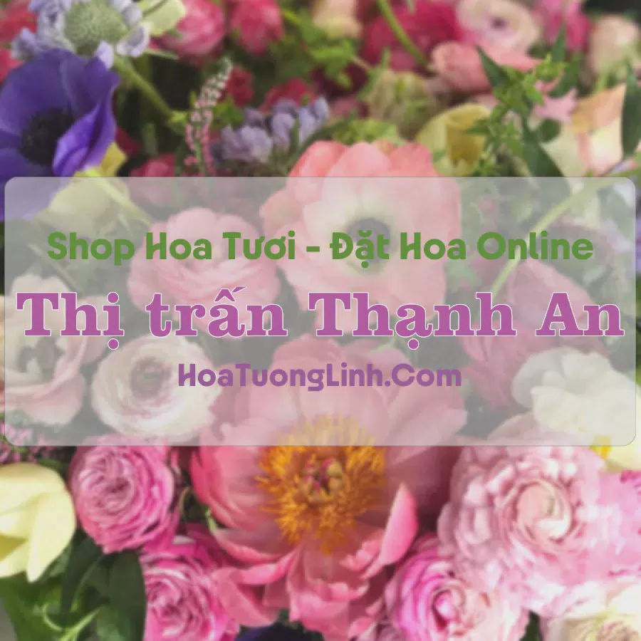 Shop Hoa Tươi Thị Trấn Thạnh An - Cần Thơ