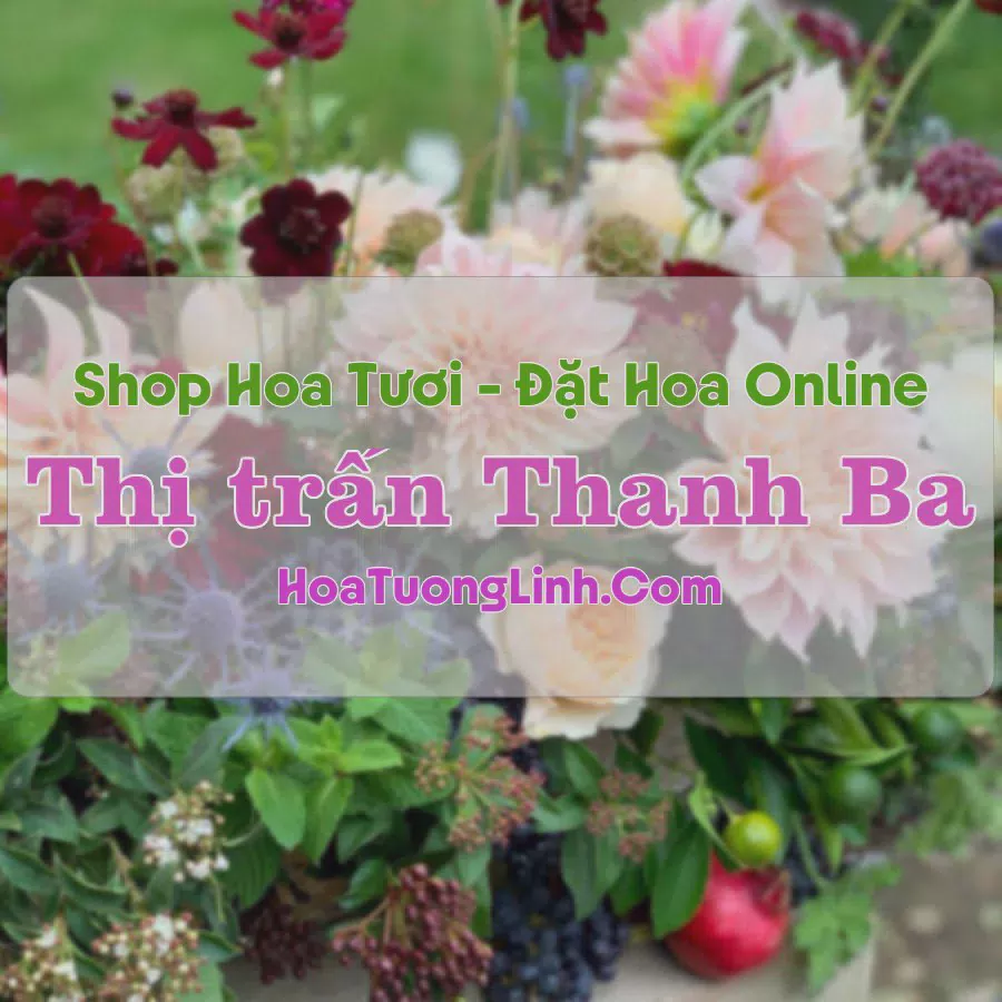Shop Hoa Tươi Thị Trấn Thanh Ba - Phú Thọ