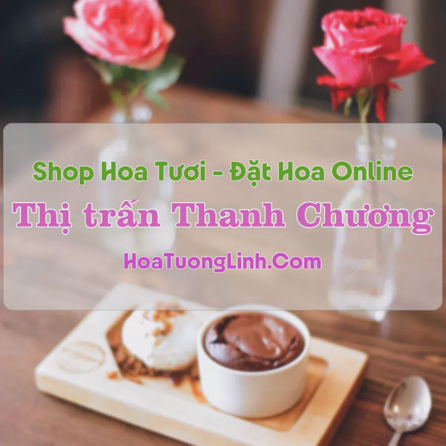 Shop Hoa Tươi Thị trấn Thanh Chương - Nghệ An