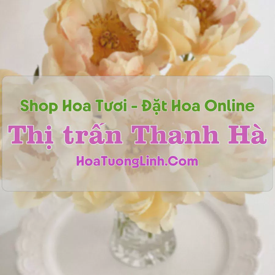 Shop Hoa Tươi Thị Trấn Thanh Hà - Hải Dương