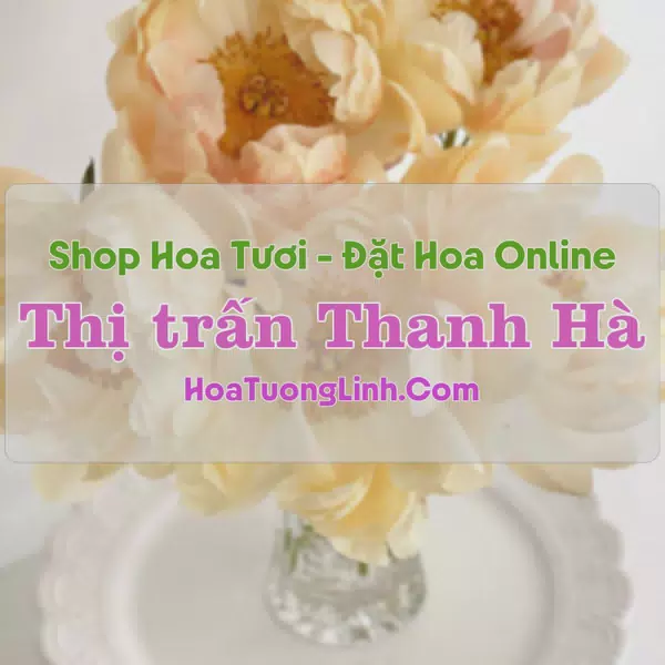 Shop Hoa Tươi Thị Trấn Thanh Hà - Hải Dương