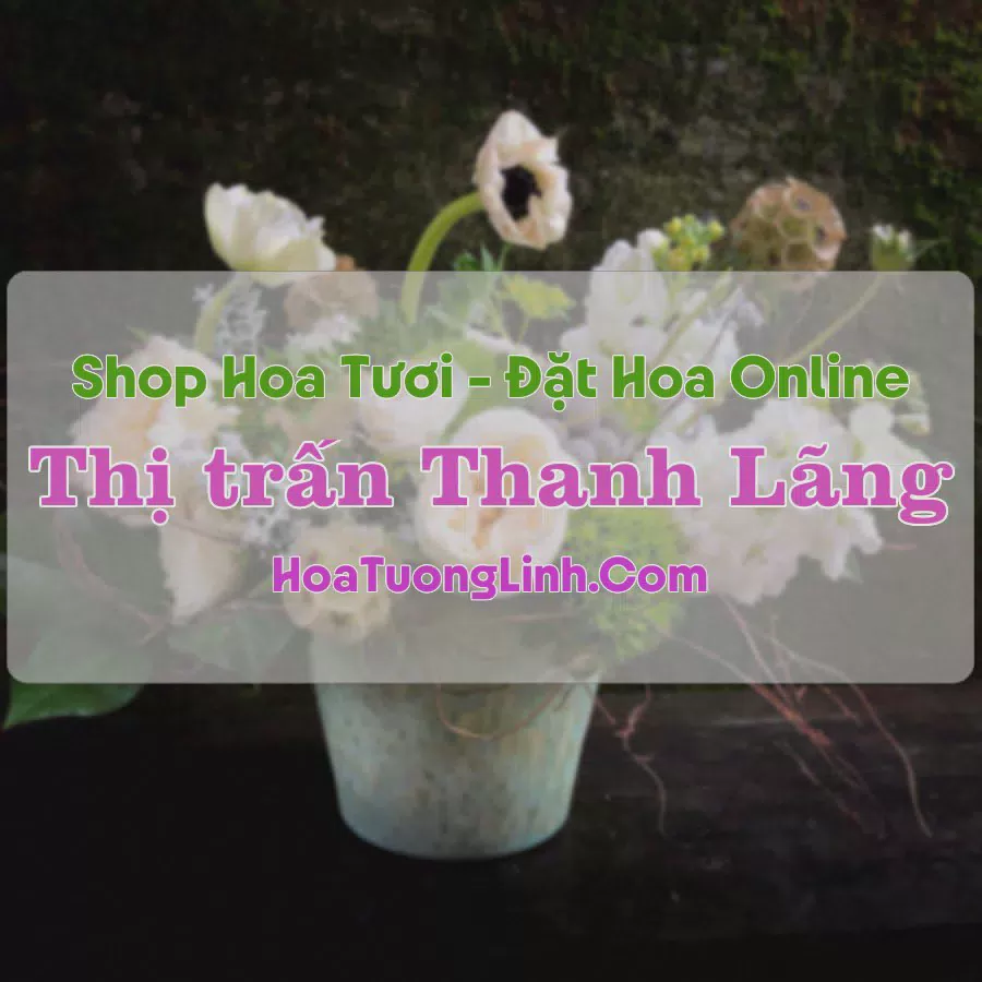 Shop Hoa Tươi Thị Trấn Thanh Lãng - Vĩnh Phúc