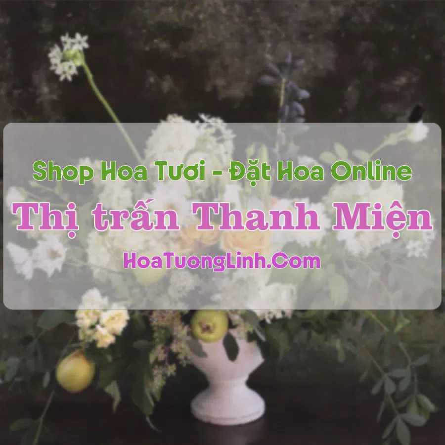 Shop Hoa Tươi Thị Trấn Thanh Miện - Hải Dương