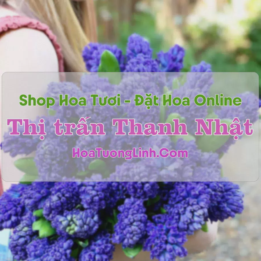 Shop Hoa Tươi Thị trấn Thanh Nhật - Cao Bằng