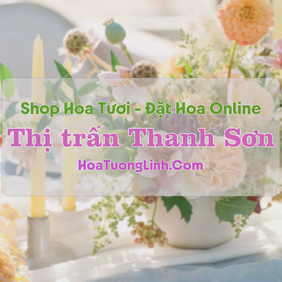Shop Hoa Tươi Thị Trấn Thanh Sơn - Phú Thọ