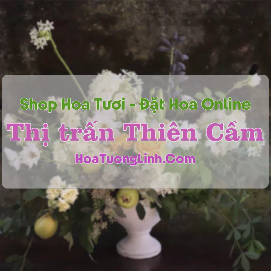 Shop Hoa Tươi Thị trấn Thiên Cầm - Hà Tĩnh
