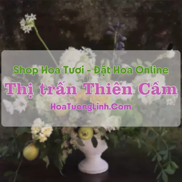 Shop Hoa Tươi Thị trấn Thiên Cầm - Hà Tĩnh