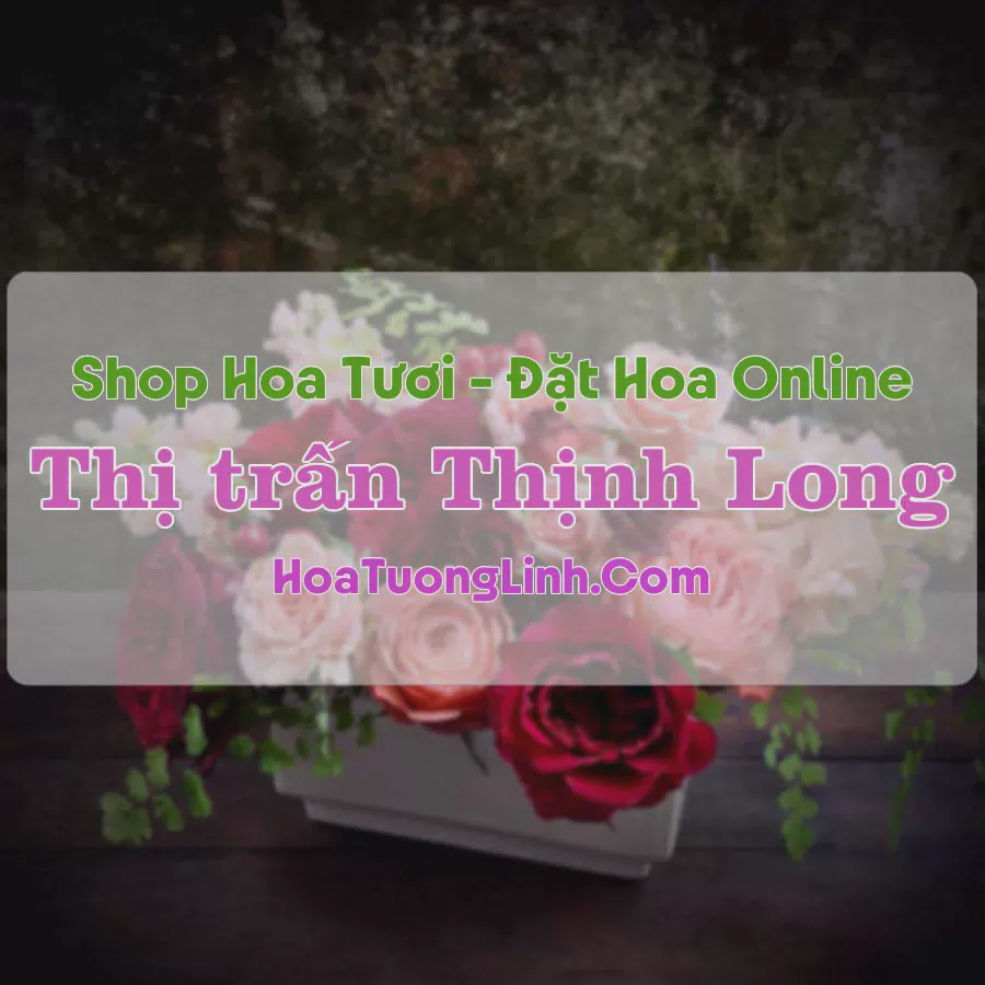 Shop Hoa Tươi Thị Trấn Thịnh Long - Nam Định