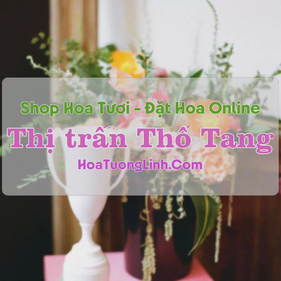 Shop Hoa Tươi Thị Trấn Thổ Tang - Vĩnh Tường, Vĩnh Phúc