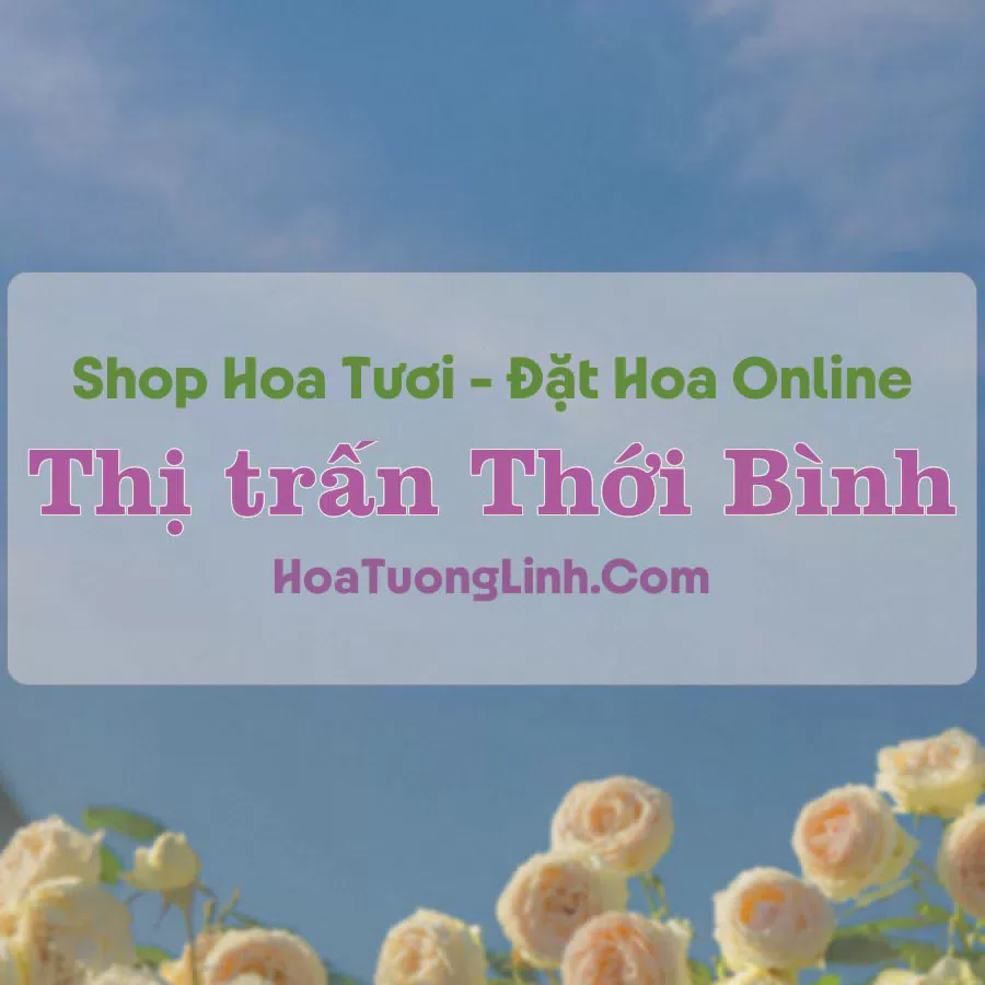Shop Hoa Tươi Thị Trấn Thới Bình - Cà Mau