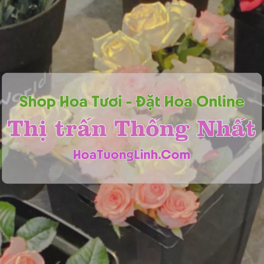 Shop Hoa Tươi Thị Trấn Thống Nhất - Thanh Hóa