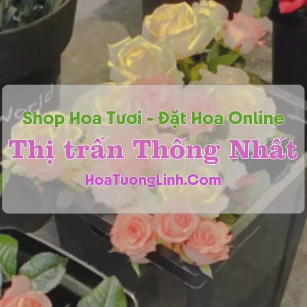 Shop Hoa Tươi Thị Trấn Thống Nhất - Thanh Hóa