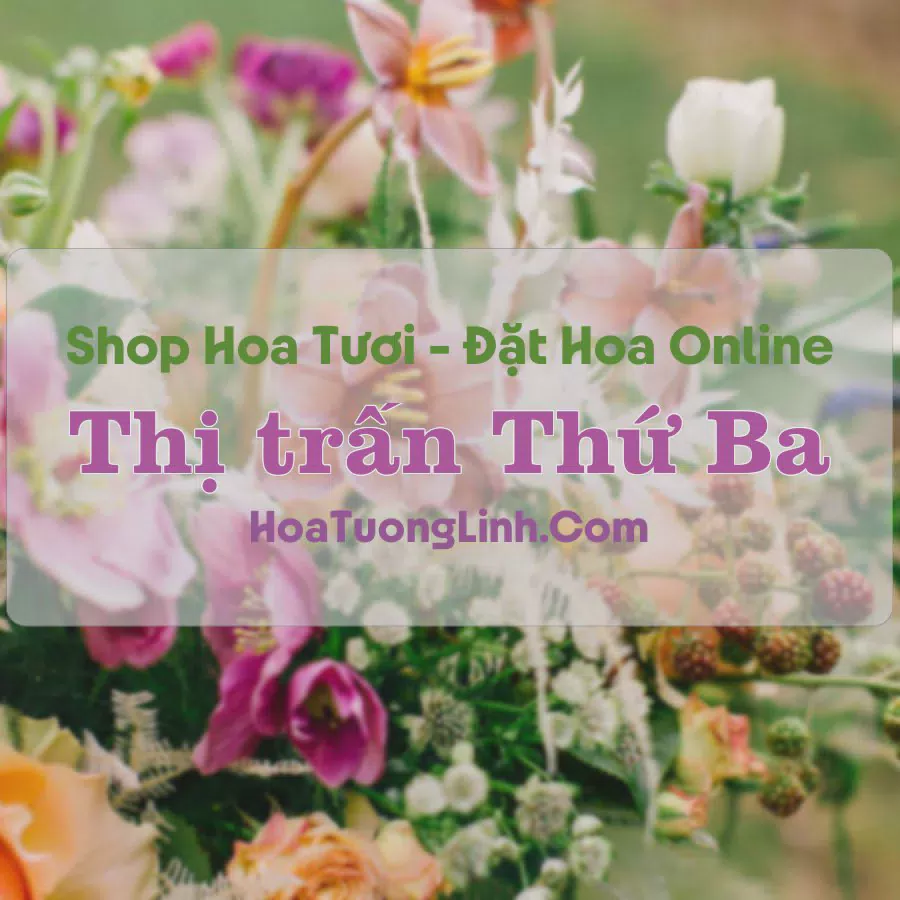 Shop Hoa Tươi Thị Trấn Thứ Ba - Kiên Giang