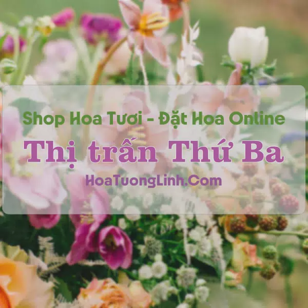 Shop Hoa Tươi Thị Trấn Thứ Ba - Kiên Giang