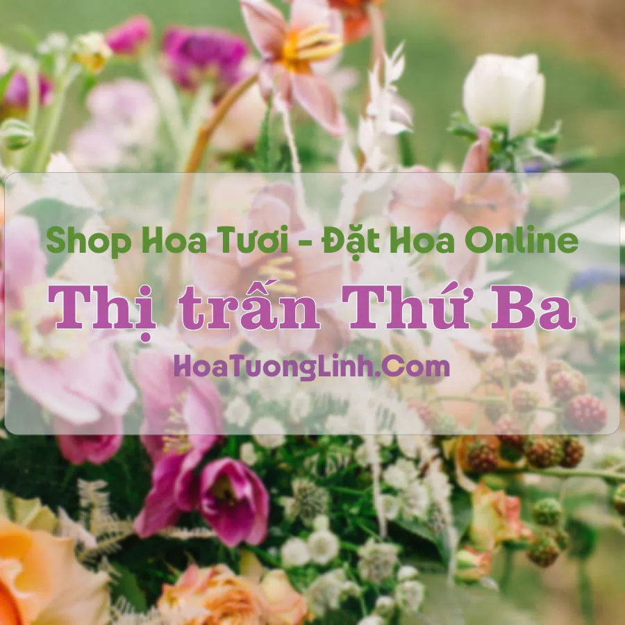 Shop Hoa Tươi Thị Trấn Thứ Ba – Kiên Giang