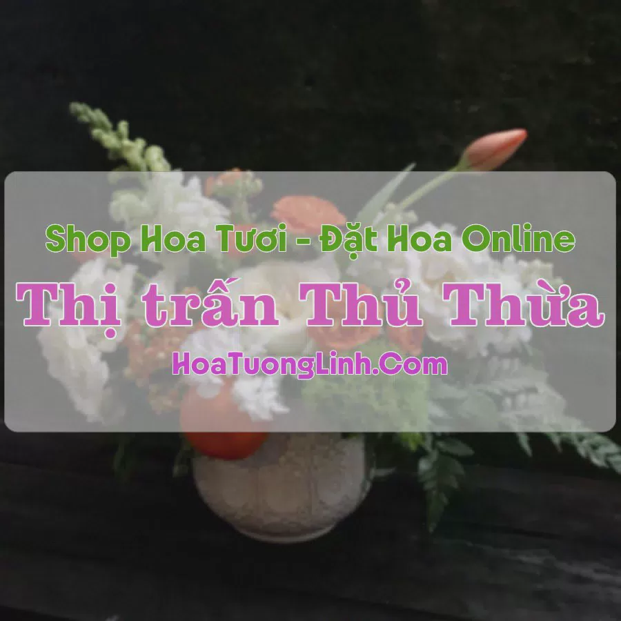 Shop Hoa Tươi Thị trấn Thủ Thừa - Long An