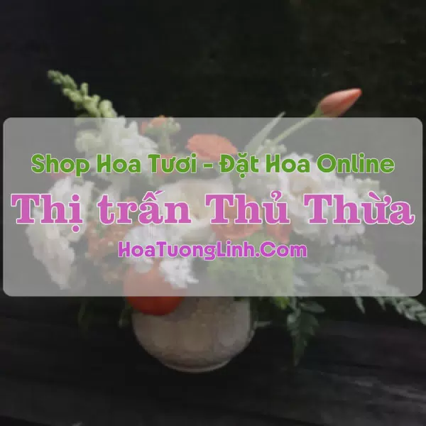 Shop Hoa Tươi Thị trấn Thủ Thừa - Long An