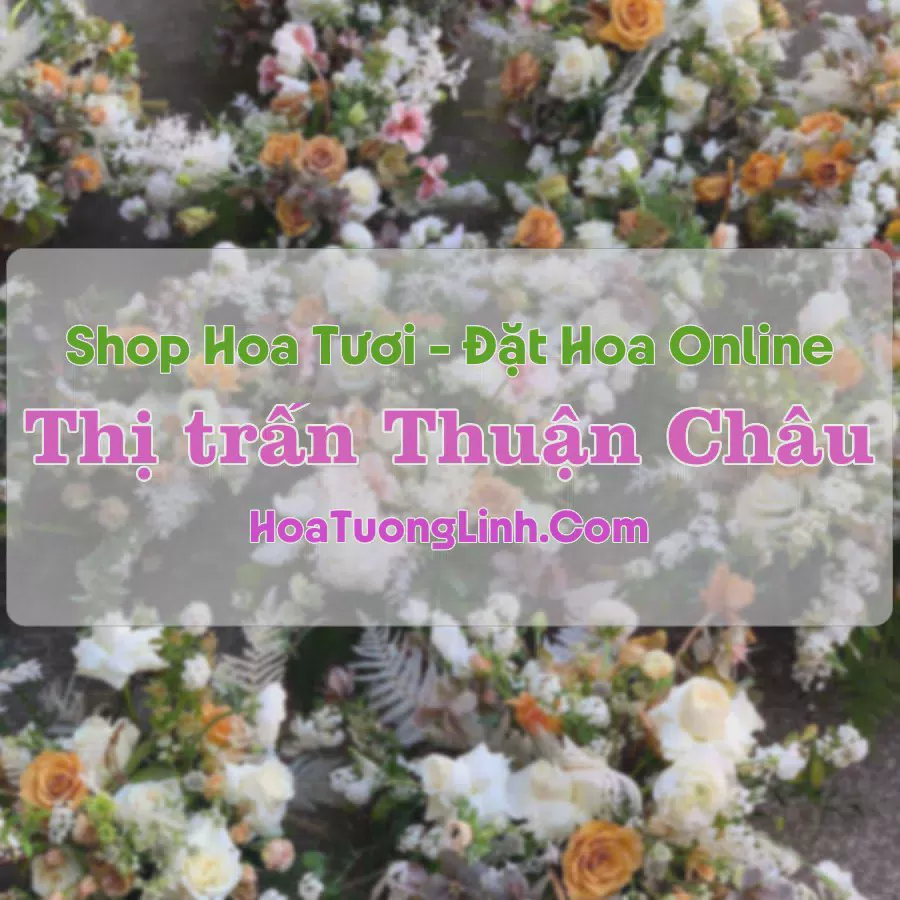 Shop Hoa Tươi Thị Trấn Thuận Châu - Sơn La