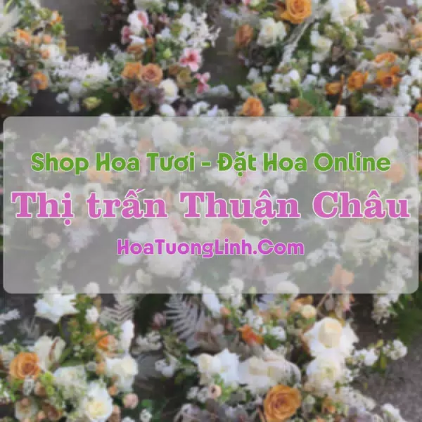Shop Hoa Tươi Thị Trấn Thuận Châu - Sơn La