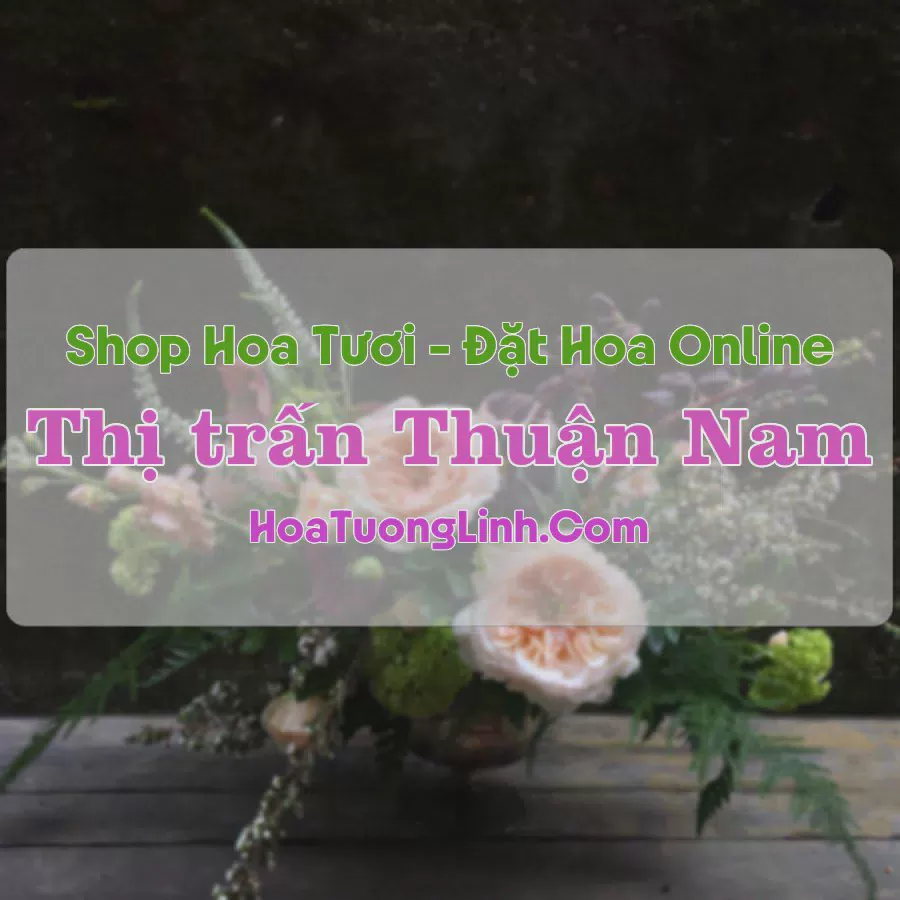 Shop Hoa Tươi Thị trấn Thuận Nam - Bình Thuận